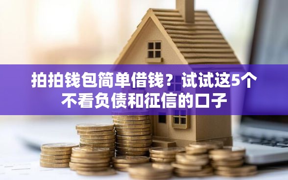 拍拍钱包简单借钱？试试这5个不看负债和征信的口子