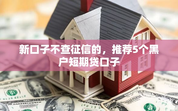新口子不查征信的，推荐5个黑户短期贷口子