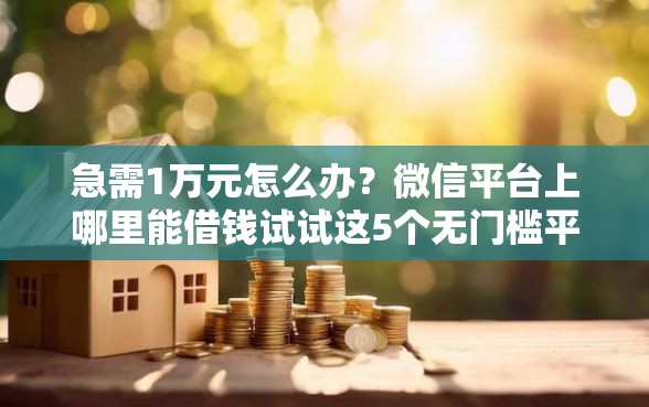 急需1万元怎么办？微信平台上哪里能借钱试试这5个无门槛平台