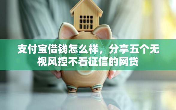 支付宝借钱怎么样，分享五个无视风控不看征信的网贷