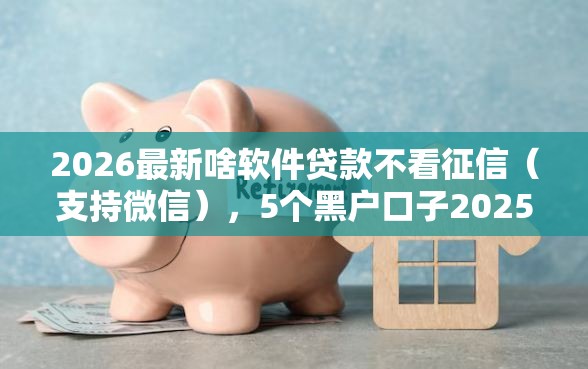 2026最新啥软件贷款不看征信（支持微信），5个黑户口子2025无私分享