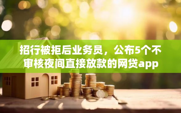 招行被拒后业务员，公布5个不审核夜间直接放款的网贷app