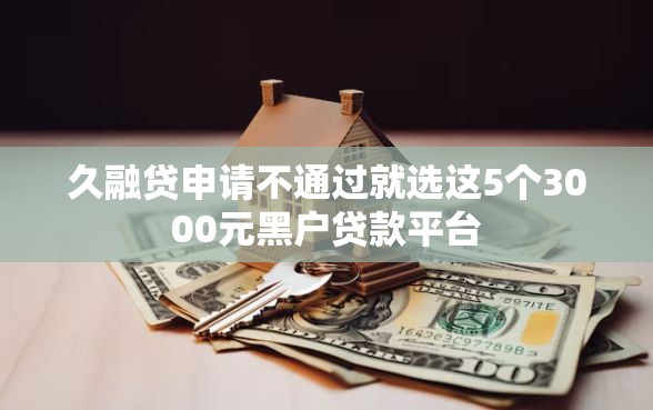 久融贷申请不通过就选这5个3000元黑户贷款平台