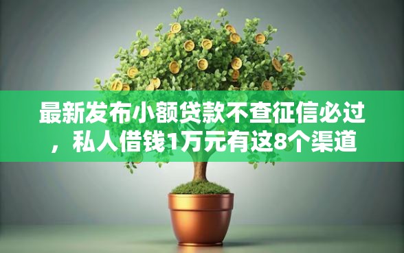 最新发布小额贷款不查征信必过，私人借钱1万元有这8个渠道