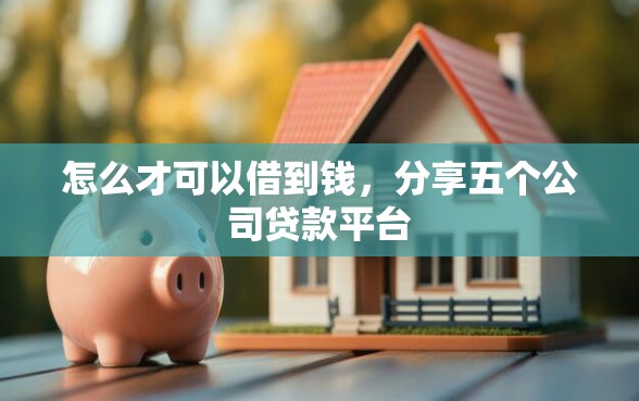 怎么才可以借到钱，分享五个公司贷款平台