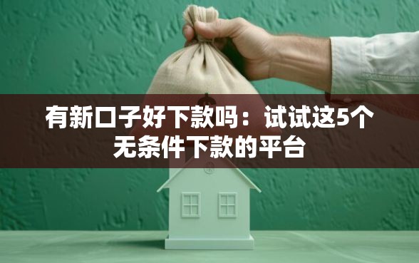 有新口子好下款吗：试试这5个无条件下款的平台