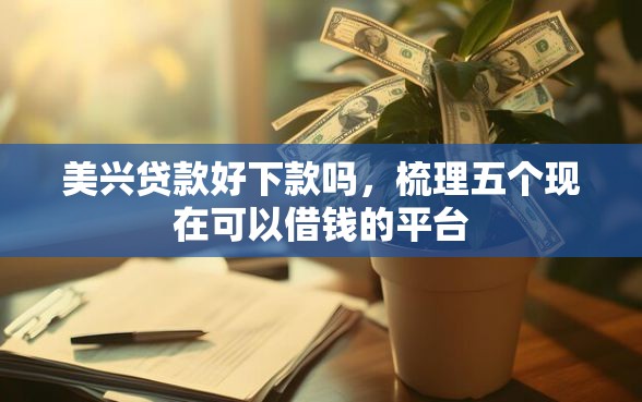 美兴贷款好下款吗，梳理五个现在可以借钱的平台