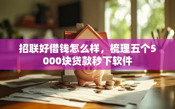 招联好借钱怎么样，梳理五个5000块贷款秒下软件