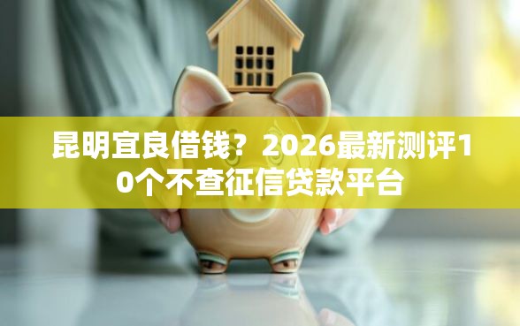 昆明宜良借钱？2026最新测评10个不查征信贷款平台