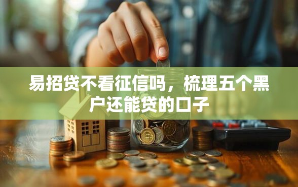 易招贷不看征信吗，梳理五个黑户还能贷的口子