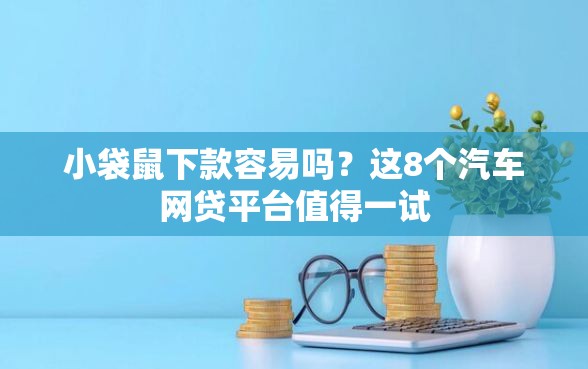 小袋鼠下款容易吗？这8个汽车网贷平台值得一试