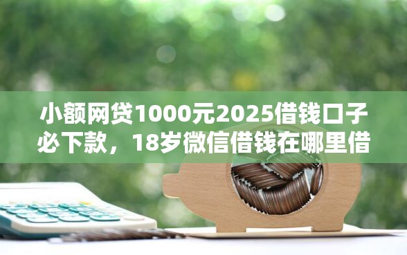 小额网贷1000元2025借钱口子必下款，18岁微信借钱在哪里借的5个平台介绍