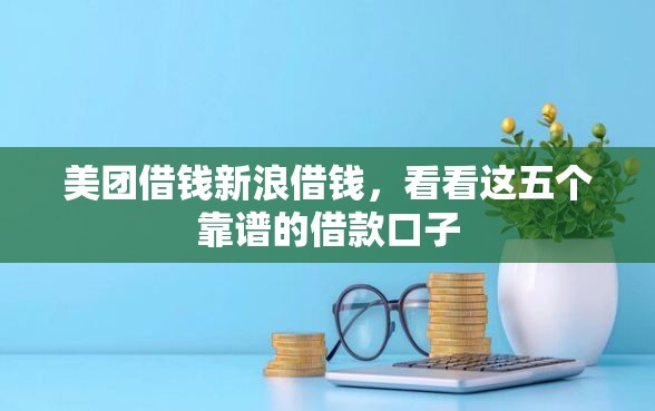 美团借钱新浪借钱，看看这五个靠谱的借款口子