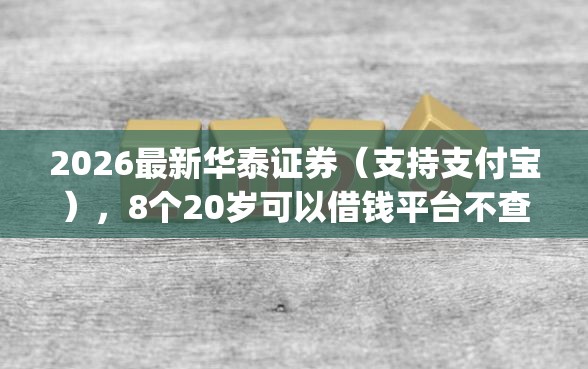 2026最新华泰证券（支持支付宝），8个20岁可以借钱平台不查征信的app无私分享