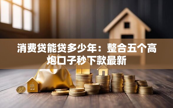 消费贷能贷多少年：整合五个高炮口子秒下款最新