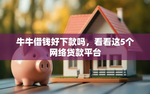 牛牛借钱好下款吗，看看这5个网络贷款平台