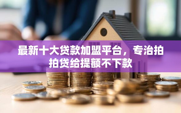 最新十大贷款加盟平台，专治拍拍贷给提额不下款