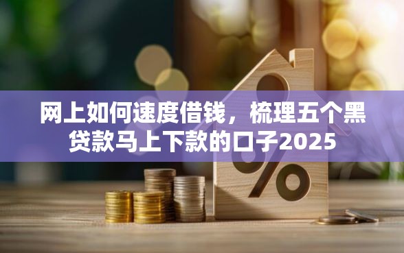 网上如何速度借钱，梳理五个黑贷款马上下款的口子2025