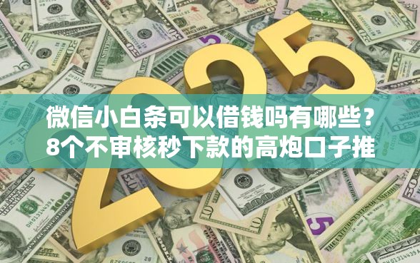 微信小白条可以借钱吗有哪些？8个不审核秒下款的高炮口子推荐给你