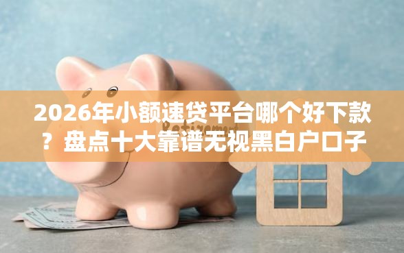 2026年小额速贷平台哪个好下款?盘点十大靠谱无视黑白户口子 2026年小额速贷平台哪个好下款?盘点十大靠谱无视黑白户口子
