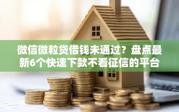 微信微粒贷借钱未通过？盘点最新6个快速下款不看征信的平台