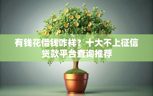 有钱花借钱咋样？十大不上征信贷款平台查询推荐
