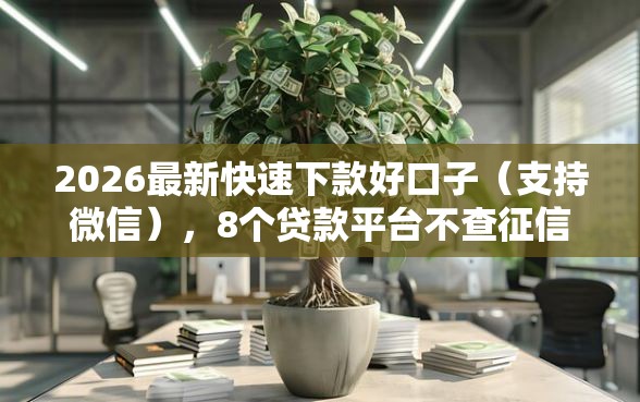 2026最新快速下款好口子（支持微信），8个贷款平台不查征信无私分享