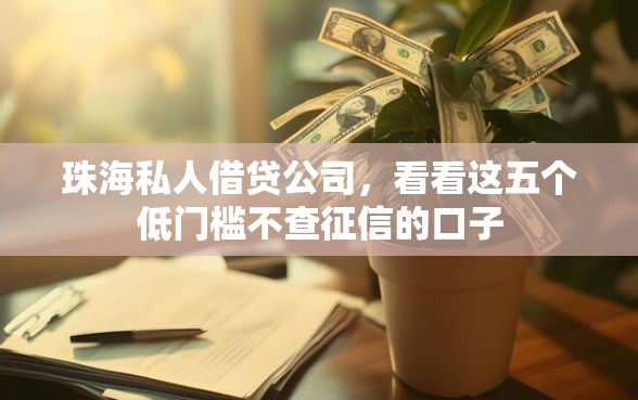 珠海私人借贷公司，看看这五个低门槛不查征信的口子