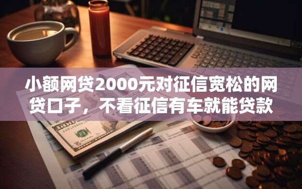 小额网贷2000元对征信宽松的网贷口子，不看征信有车就能贷款的5个平台介绍