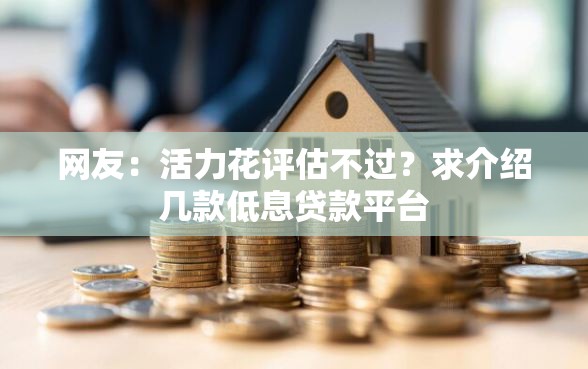 网友：活力花评估不过？求介绍几款低息贷款平台