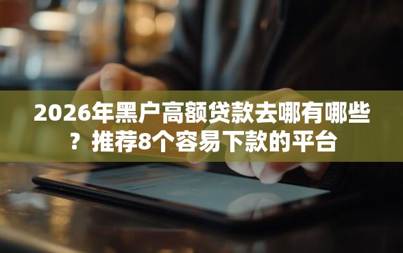 2026年黑户高额贷款去哪有哪些？推荐8个容易下款的平台