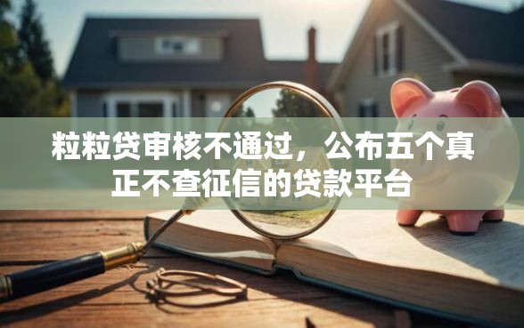 粒粒贷审核不通过，公布五个真正不查征信的贷款平台