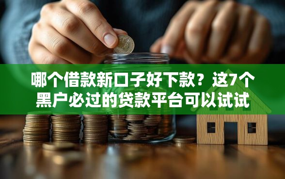 哪个借款新口子好下款？这7个黑户必过的贷款平台可以试试