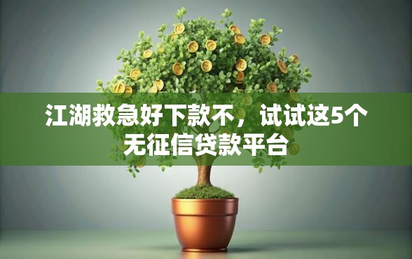 江湖救急好下款不，试试这5个无征信贷款平台