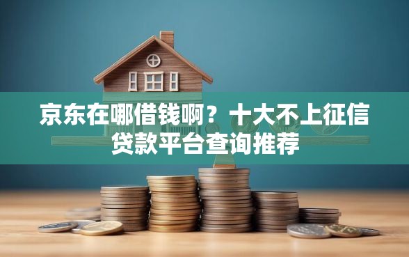 京东在哪借钱啊？十大不上征信贷款平台查询推荐