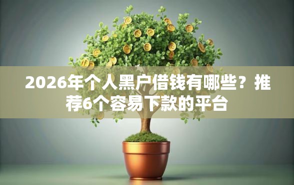 2026年个人黑户借钱有哪些?推荐6个容易下款的平台 2026年个人黑户借钱有哪些?推荐6个容易下款的平台