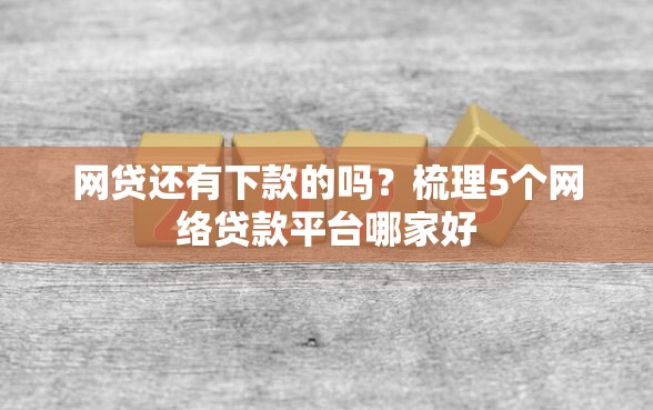网贷还有下款的吗？梳理5个网络贷款平台哪家好