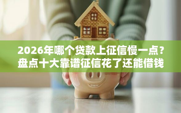 2026年哪个贷款上征信慢一点？盘点十大靠谱征信花了还能借钱的平台