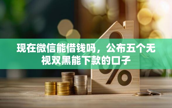 现在微信能借钱吗，公布五个无视双黑能下款的口子