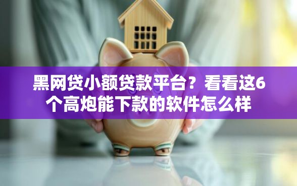 黑网贷小额贷款平台？看看这6个高炮能下款的软件怎么样