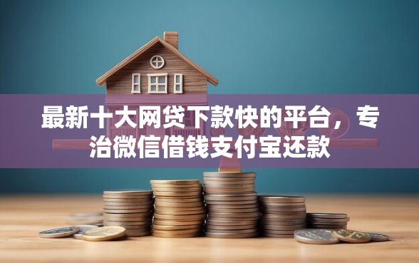 最新十大网贷下款快的平台，专治微信借钱支付宝还款