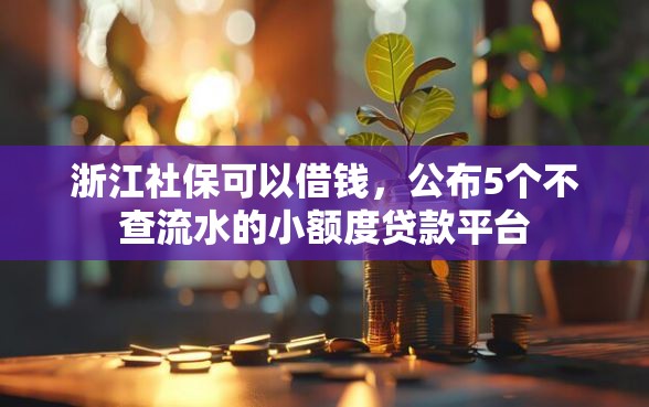浙江社保可以借钱，公布5个不查流水的小额度贷款平台