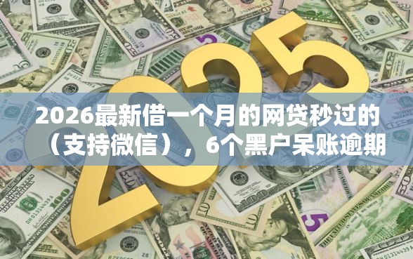 2026最新借一个月的网贷秒过的（支持微信），6个黑户呆账逾期能下的口子无私分享
