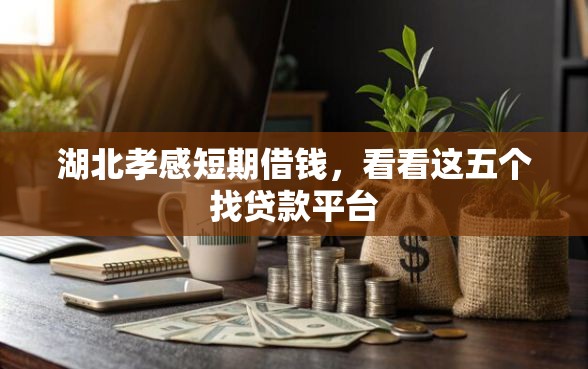 湖北孝感短期借钱，看看这五个找贷款平台