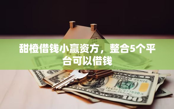 甜橙借钱小赢资方，整合5个平台可以借钱