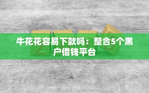 牛花花容易下款吗：整合5个黑户借钱平台
