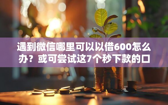 遇到微信哪里可以以借600怎么办？或可尝试这7个秒下款的口子不看征信不用信用卡
