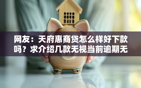 网友：天府惠商贷怎么样好下款吗？求介绍几款无视当前逾期无视征信的借款口子