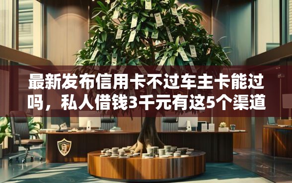 最新发布信用卡不过车主卡能过吗，私人借钱3千元有这5个渠道