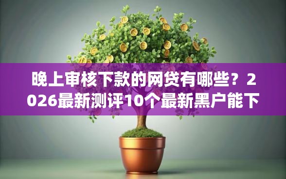 晚上审核下款的网贷有哪些？2026最新测评10个最新黑户能下款的app口子